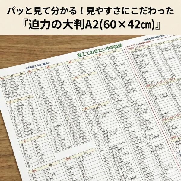 お風呂学習ポスター 受験教材 (英語(大 60×42cm)) : チャンスAA - 通販