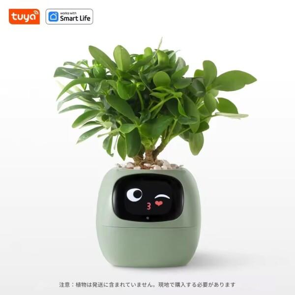 zmart Ivy Tuya スマートプランター 49種類以上 豊かな表現 7つのスマートセンサー AIチップ_2
