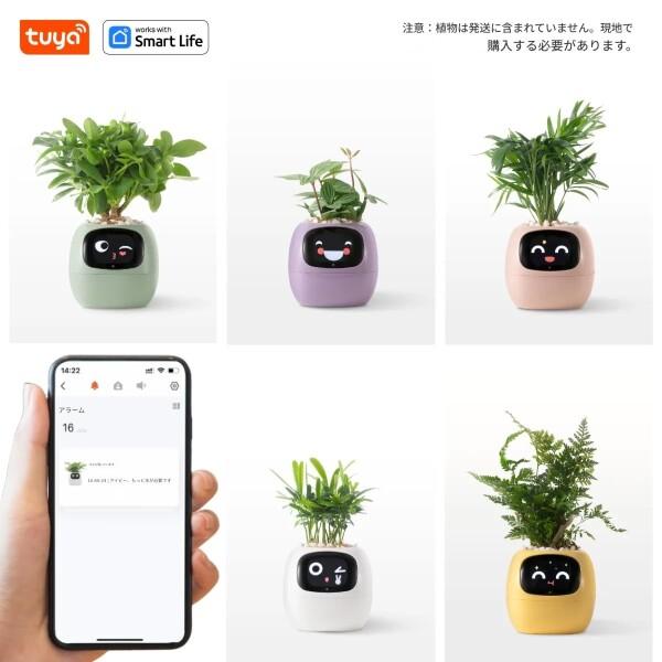 zmart Ivy Tuya スマートプランター 49種類以上 豊かな表現 7つのスマートセンサー AIチップ_5