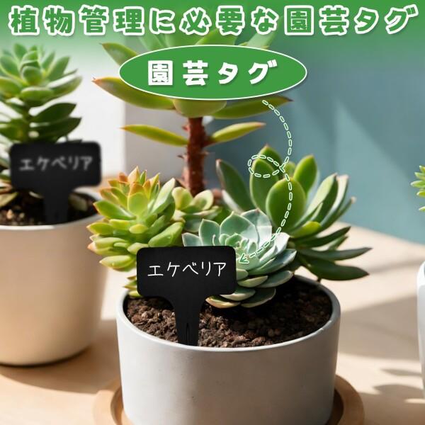 Charming Club 園芸ラベル 黒 50枚入り 分厚い 植物ラベル プランツ