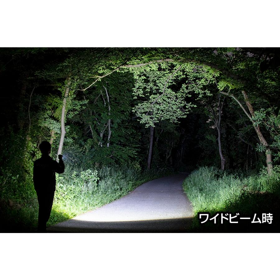 GENTOS（ジェントス） LED 懐中電灯 充電式 RX-186RS 【明るさ800