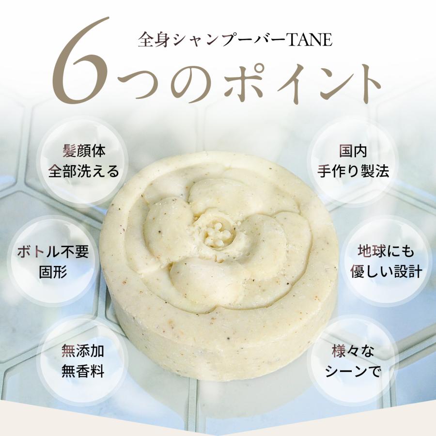 全身シャンプーバー 固形石鹸 無添加石鹸 日本製 TANE 3個セット
