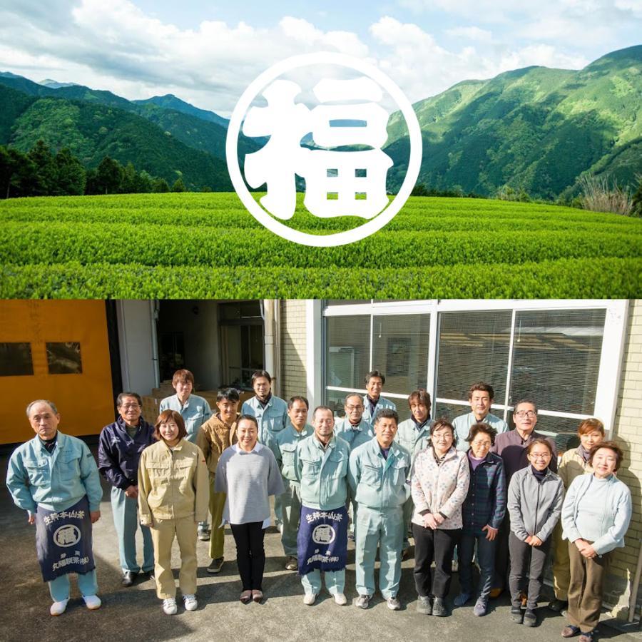 【訳アリ特価】 抹茶 50g ×2袋 セット 送料無料 国産 抹茶 粉末 パウダー お茶 まっちゃ MATCHA  粉末茶