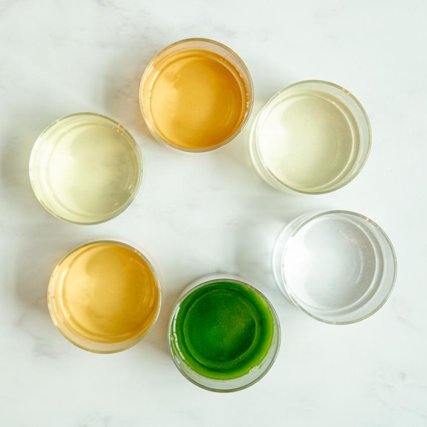 Marufuku Tea みんなでちゃちゃちゃ 水出し 6種セット 煎茶 ほうじ茶