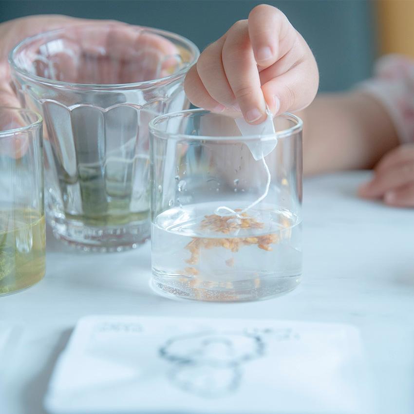 Marufuku Tea みんなでちゃちゃちゃ 水出し 6種セット 煎茶 ほうじ茶 紅茶 玄米茶 レモングラス 抹茶 |  | 13