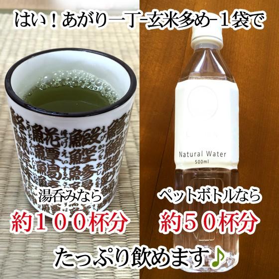 手軽にお寿司屋さん気分のお茶 はい あがり一丁 玄米多め 粉末茶 パウダーティー 緑茶 たっぷり飲めるから業務用にも Ys Agr G01 Cha Oヤフー店 通販 Yahoo ショッピング