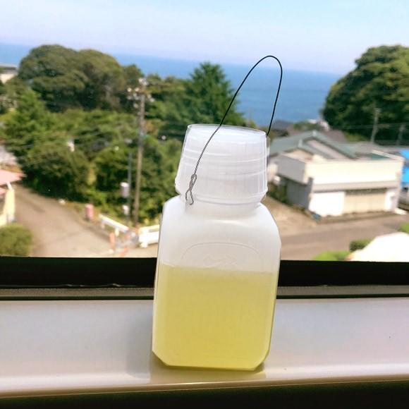 炎天下のカエルに水をあげてみた うわぁ ありがとう と ボトルキャップで水分補給 カラパイア