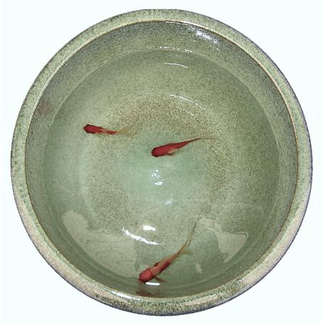 アウトレット・訳あり品》陶器睡蓮鉢【Lサイズ/17号/直径約51cm