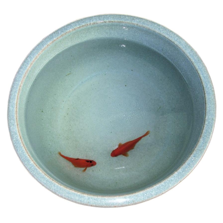アウトレット・訳あり品》陶器睡蓮鉢【Lサイズ/17号/直径約51cm・水色