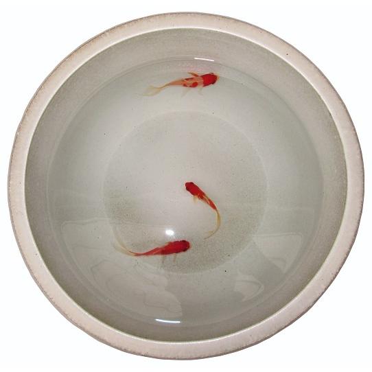 陶器睡蓮鉢【Mサイズ/14号/直径約42cm・ホワイト】 水蓮鉢 すいれん鉢