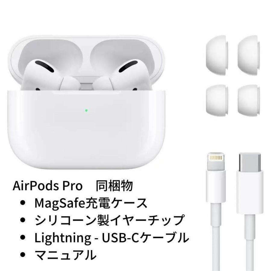Apple AirPods Pro (第1世代) Lightning充電対応 【公式通販】