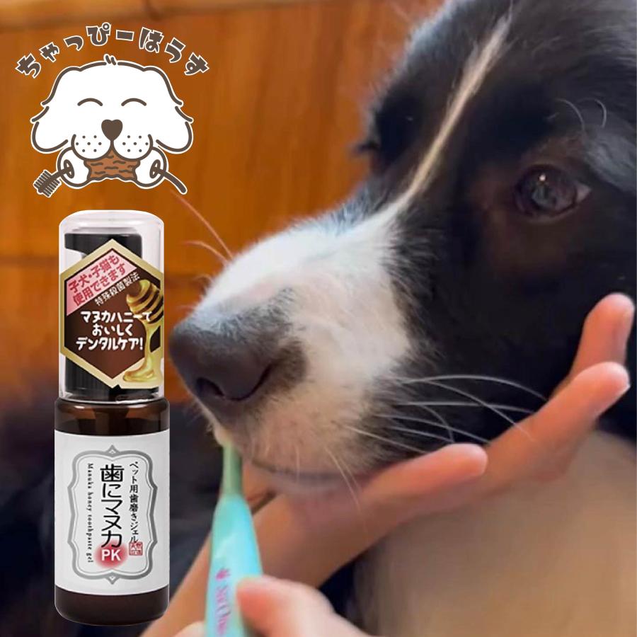 歯にマヌカPK 30g 4個セット 犬 デンタルケア