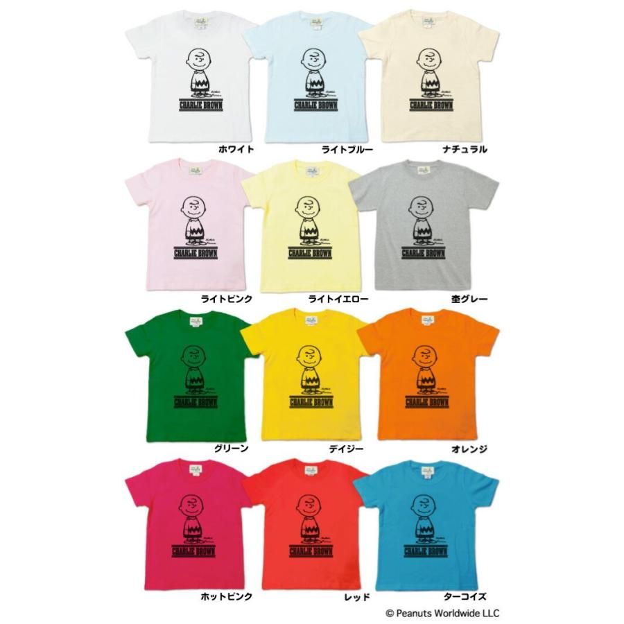 スヌーピーと仲間たち Tシャツ ヴィンテージ ビンテージ チャーリーブラウンたち レトロ ヴィンテージ スヌーピー 定番 仲間 チャーリーブラウン 半袖T