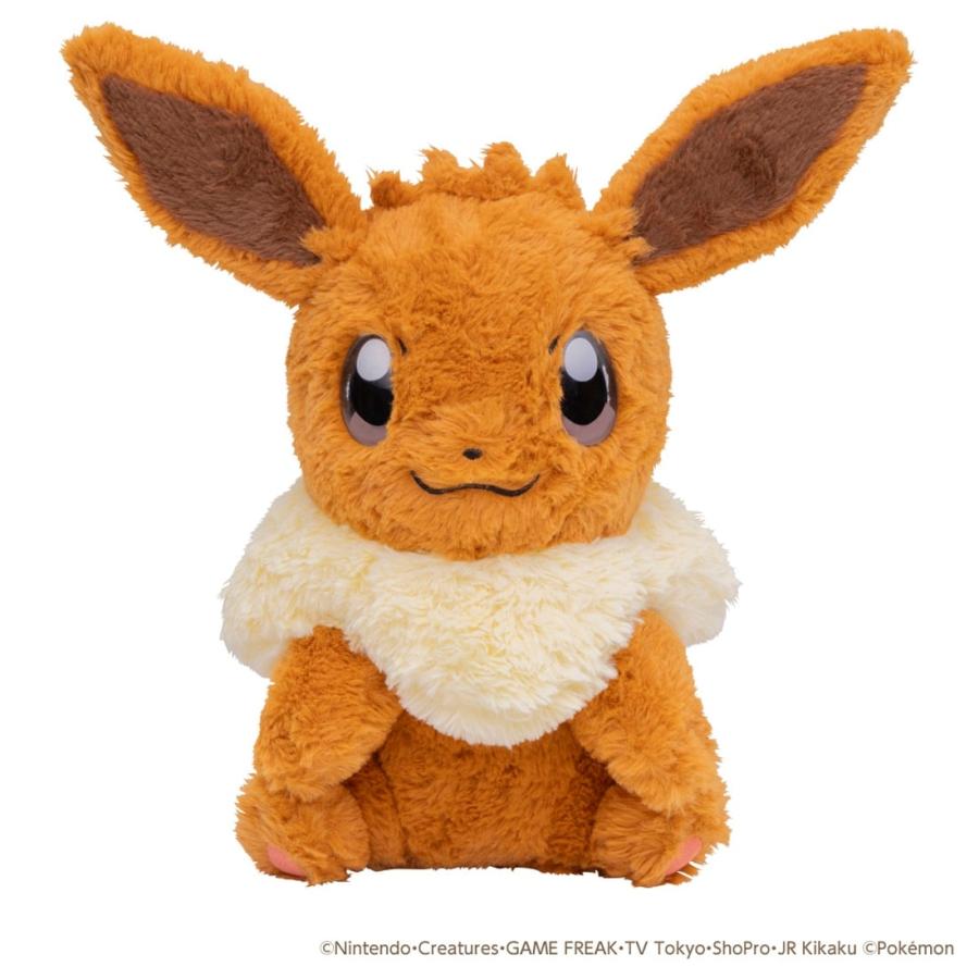 Pokemon（ポケモン） ポケットモンスター おうちにポケモン EIEVUI