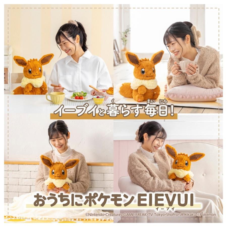 Pokemon（ポケモン） ポケットモンスター おうちにポケモン EIEVUI