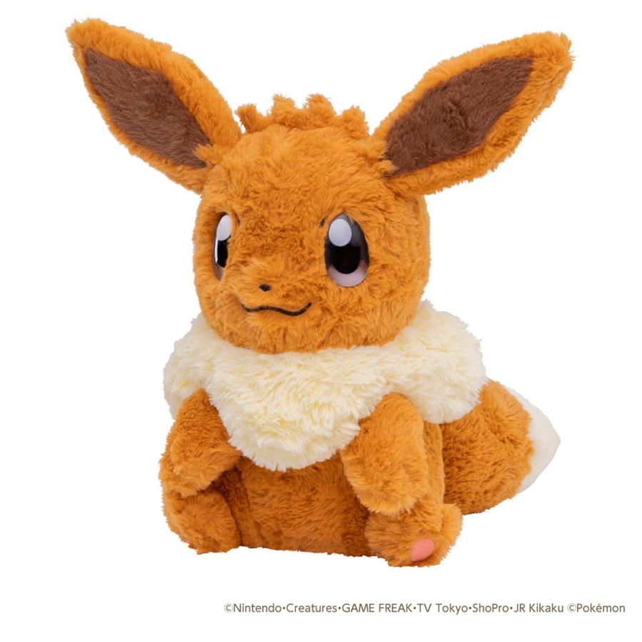 Pokemon（ポケモン） ポケットモンスター おうちにポケモン EIEVUI