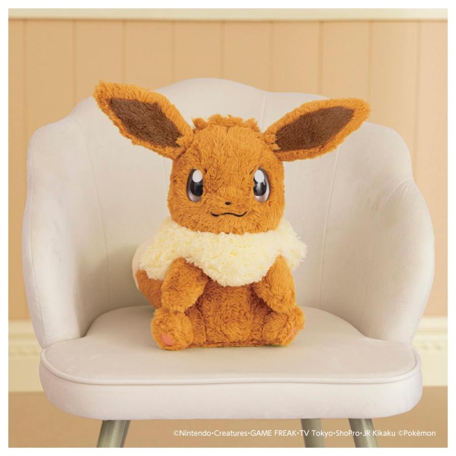 Pokemon（ポケモン） ポケットモンスター おうちにポケモン EIEVUI