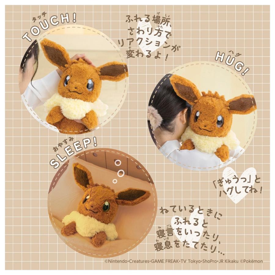 Pokemon（ポケモン） ポケットモンスター おうちにポケモン EIEVUI