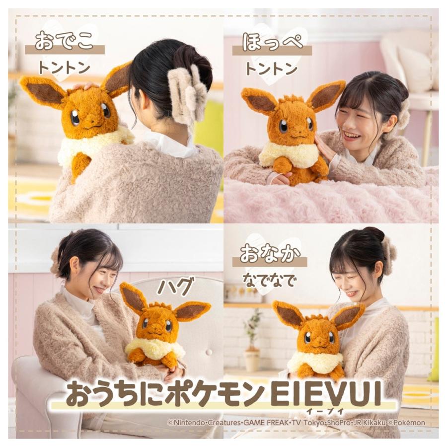 Pokemon（ポケモン） ポケットモンスター おうちにポケモン EIEVUI