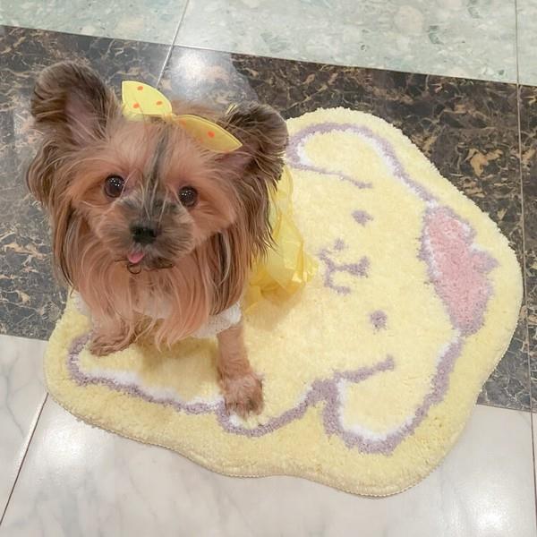 ポムポムプリン ダイカットフロアマット サンリオ