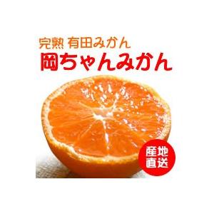 岡本さんちの「岡ちゃんみかん」SSサイズ5kg〜おいしい完熟有田みかん
