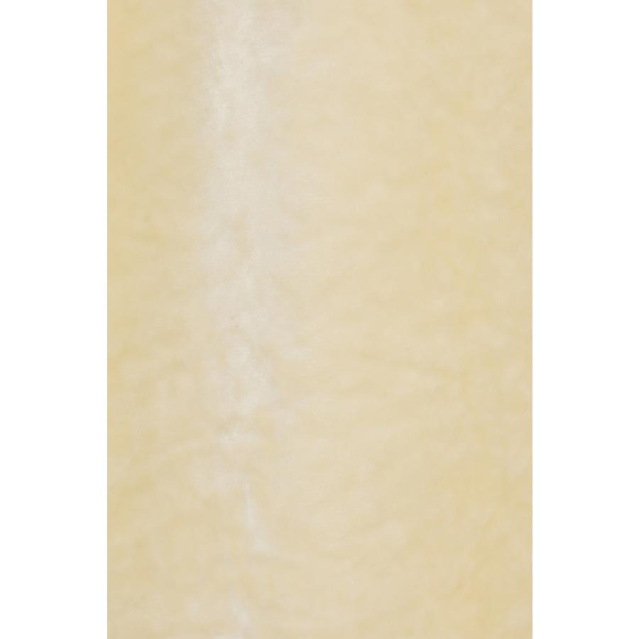 CLANE（クラネ） 正規商品 クラッシュ ベロア ポロトップス CRUSHED