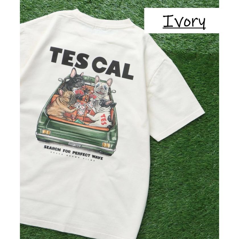 テス トップス ユニセックス TES フレブル ジョーカー 半袖 Tシャツ JOKER TEE アイボリー/ミックスグレー IVORY/MIX GRAY 2色展開 2026春夏新作 | The Endless Summer | 01