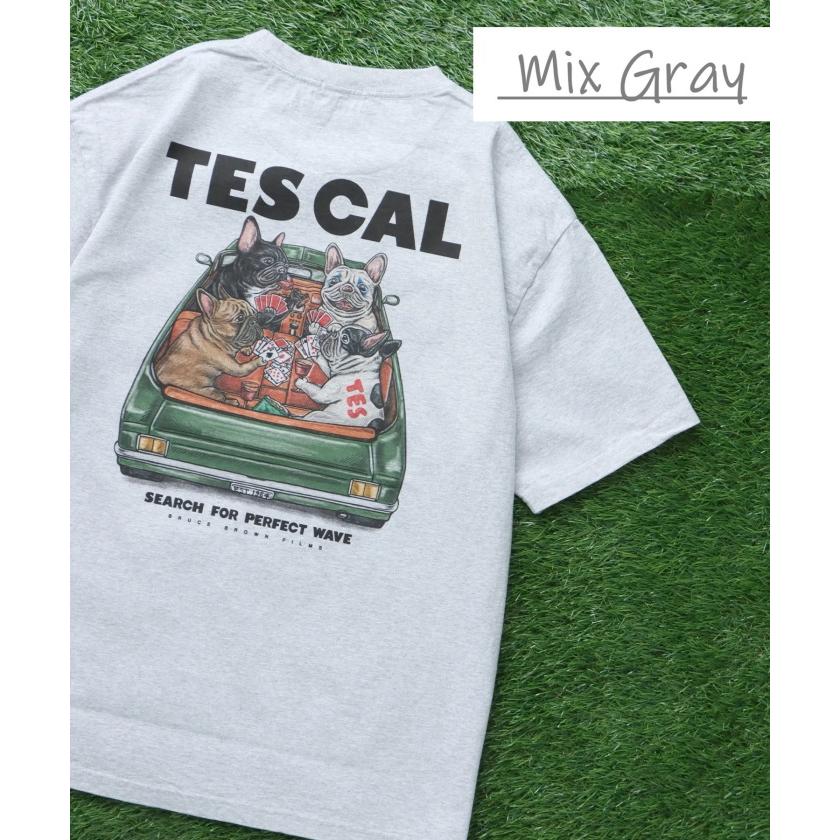 テス トップス ユニセックス TES フレブル ジョーカー 半袖 Tシャツ JOKER TEE アイボリー/ミックスグレー IVORY/MIX GRAY 2色展開 2026春夏新作 | The Endless Summer | 07