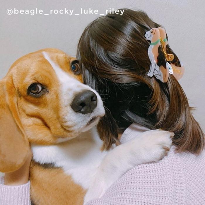 ククシュゼット 正規商品 ヘア アクセ クリップ 犬 Coucou Suzette