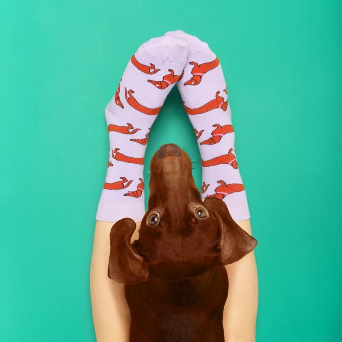 ククシュゼット 正規商品 靴下 レディース メンズ 犬 クルー丈 Coucou