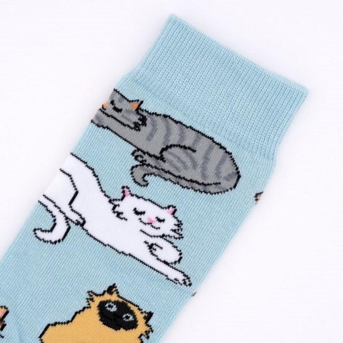 ククシュゼット 正規商品 靴下 レディース かわいい 猫 フランス