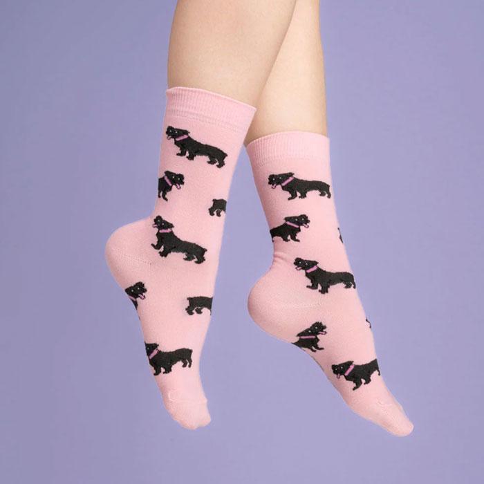 ククシュゼット 正規商品 靴下 レディース おしゃれ かわいい 犬