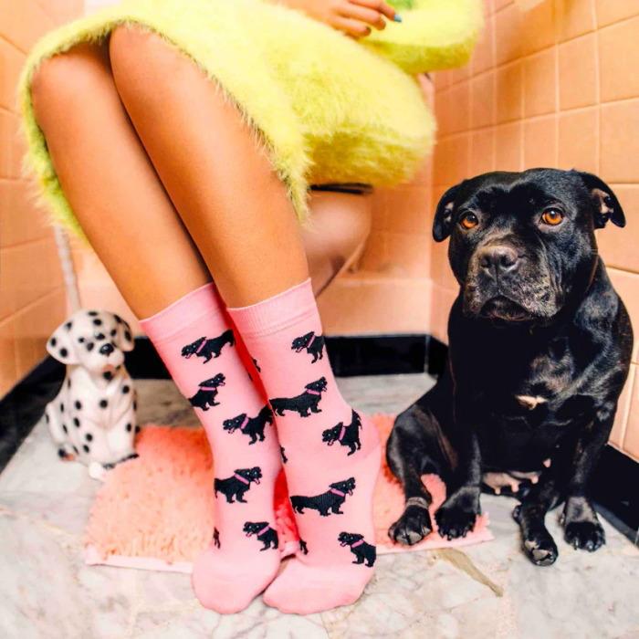 ククシュゼット 正規商品 靴下 レディース おしゃれ かわいい 犬 ギフト フランス Coucou Suzette  スタッフィー ソックス Staffy Socks ピンク Pink｜charger｜02