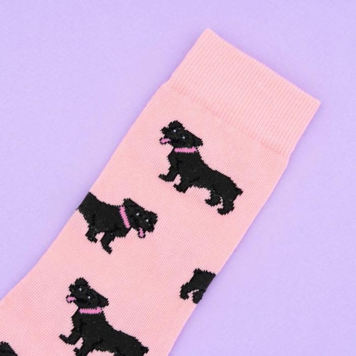 ククシュゼット 正規商品 靴下 レディース おしゃれ かわいい 犬