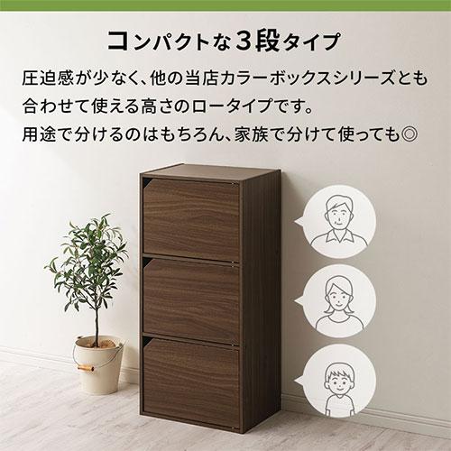 ぼん家具 本棚 書棚 扉付き 3段 カラーボックス ラック 木製 収納棚