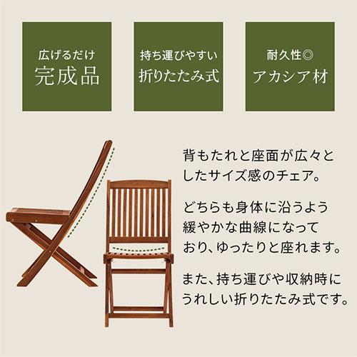 ぼん家具 ガーデンチェアー 2脚セット 収納 北欧 バルコニー ぼん家具 ガーデンチェアー 2脚セット 収納 北欧 バルコニー