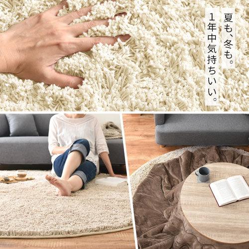 ぼん家具 ラグカーペット おしゃれ 2畳 洗える 北欧 厚手 軽い