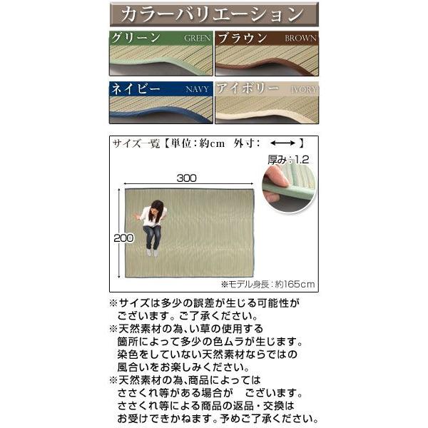 人気ブランド い草 ラグ い草ラグマット 4畳 い草ラグ ふっくら オールシーズン ホットカーペット対応 ラグマット 滑り止め 和風 和室 おしゃれ Cpt インテリア 雑貨のカリスマ 通販 Yahoo ショッピング 完売 Mobile Scotturb Com