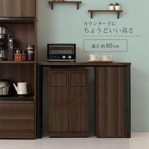 ぼん家具 【完成品】 薄型 2分別 ダストボックス おしゃれ 袋 見えない