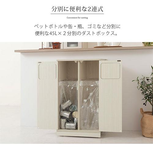ぼん家具 【完成品】 薄型 2分別 ダストボックス おしゃれ 袋 見えない