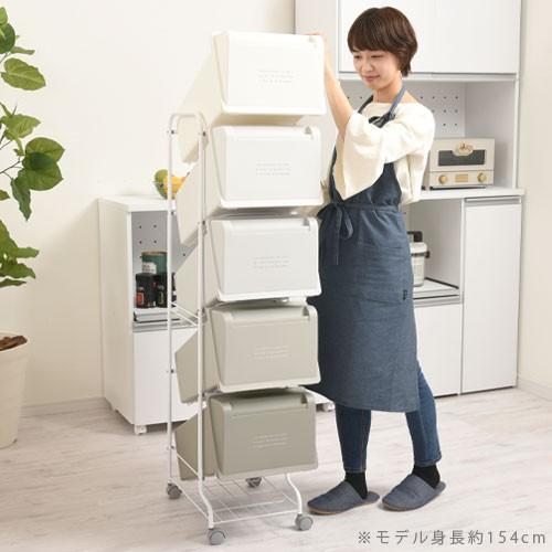 ぼん家具 ごみ箱 縦型 フロントオープン ゴミ箱 袋 見えない 20L 袋可