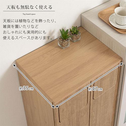 ぼん家具 薄型 2分別 ダストボックス おしゃれ 袋 見えない ゴミ箱