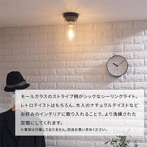ぼん家具 noji ノジー シーリングライト シーリングランプ 照明 小型
