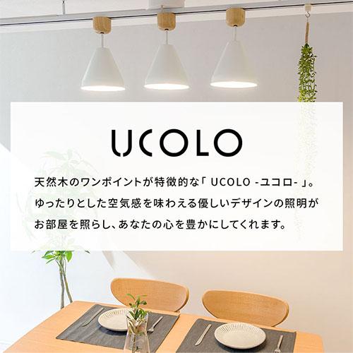 ぼん家具 LEDシーリングライト シーリング 照明 小型 LED照明