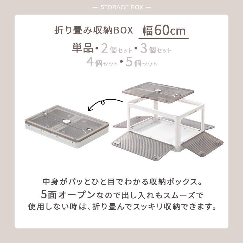 ぼん家具 折りたたみコンテナ 幅60 単品 フタ付きケース 乾燥材入れ