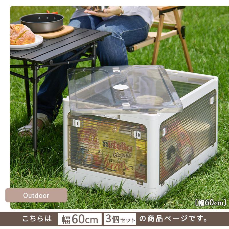ぼん家具 折りたたみコンテナ 幅60 3個セット フタ付きケース 乾燥材