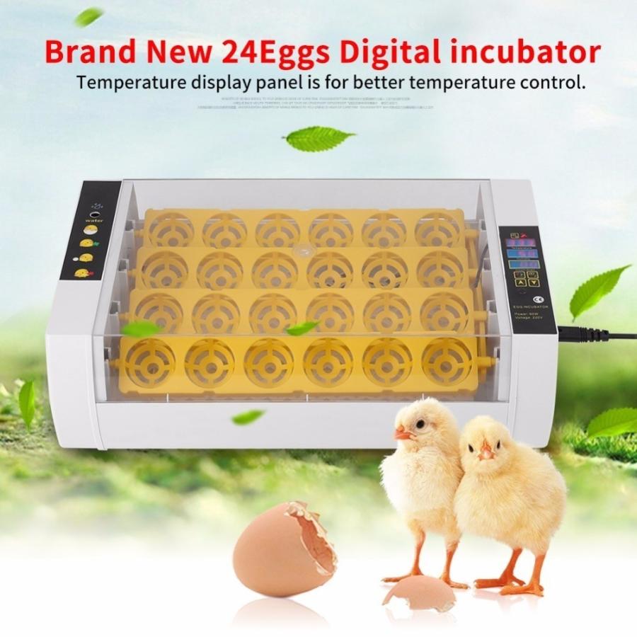 ペット用品  自動インキュベータ 24枚 新型 最新商品 孵卵機 ふ卵機　孵化器 異常警報付き  転卵可能 家庭用 実験用