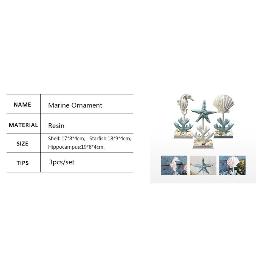 オブジェ 貝殻 マリン 3個セット 置き物 インテリア おしゃれ Na Charlies 通販 Yahoo ショッピング