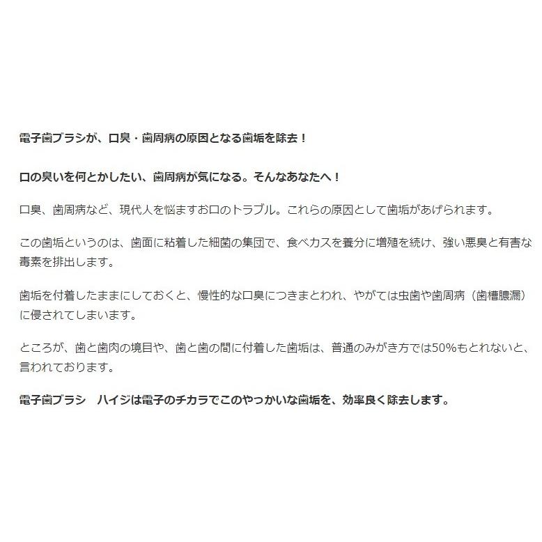 アイオニック Ionic 電子の歯ブラシ ハイジ(hyG) 本体 M(ミディアム) 純正・DX型 (4969542135570) :5BM:charmbeauty 通販 ionic (アイオニック) 電子の歯ブラシハイジ(hyG)スペアブラシ ハード(H)2点セット(かため)