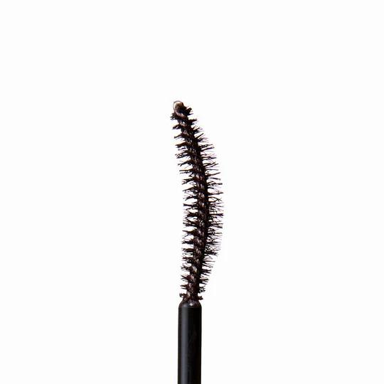 メール便送料無料　D-UP dup ディーアップ　パーフェクトエクステンションマスカラ for curl プラムブラック　＃ポイント消化 | D-up | 03